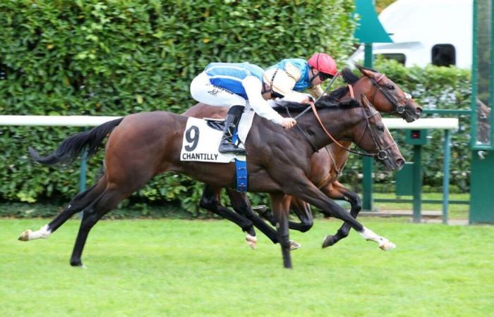 Prix ​​​​Eclipse (Gr.II): Electrolyte mantiene il suo gruppo