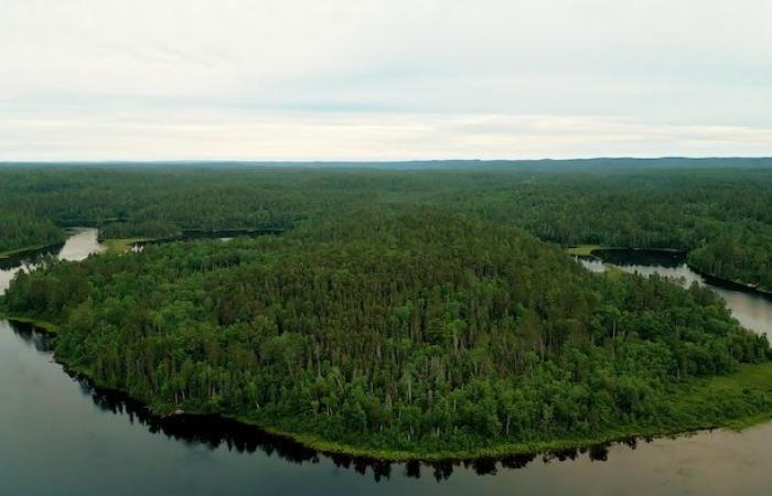 Sfruttare o proteggere il fiume Kipawa?