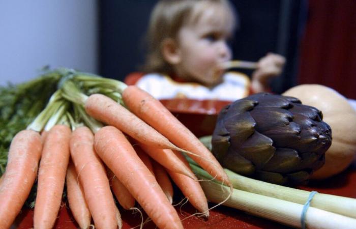 Il tuo bambino è schizzinoso a tavola? È genetico, dice uno studio