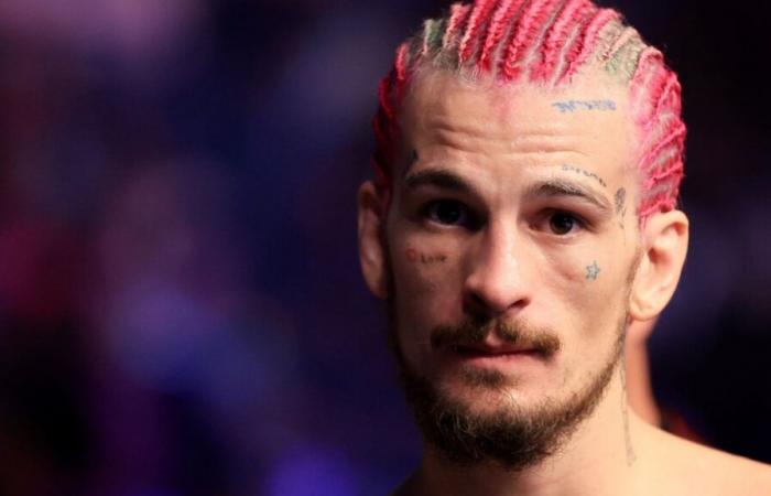 Sean O’Malley ridicolizzato dall’ex campione UFC