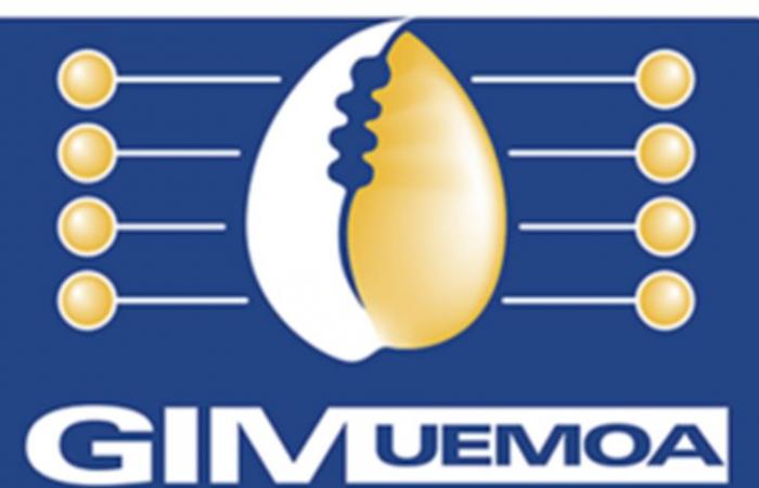 Il gruppo monetario interbancario UEMOA (GIM-UEMOA) sta reclutando per queste 2 posizioni (21 settembre 2024)