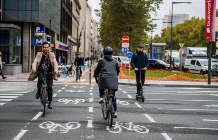 Domenica senza auto: il programma della giornata