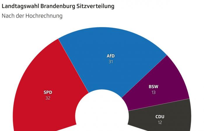 Elezioni regionali del Brandeburgo – L’SPD prevale contro l’AfD – Notizie