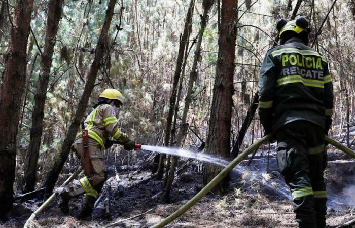 Gli incendi boschivi in ​​Colombia si sono estesi a sette dipartimenti