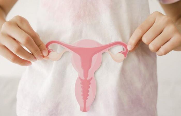 Salute. Sette cose da sapere sul cancro dell’endometrio