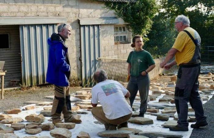 Il suo campo custodisce resti rari, questa donna bretone accoglie gli archeologi a casa sua da tre anni – Edizione serale Ouest-France