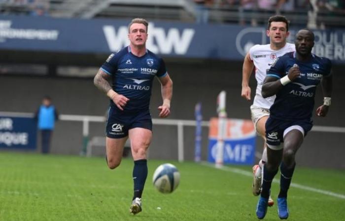 Stuart Hogg incerto per la trasferta del Montpellier a Bayonne, torna Paul Willemse