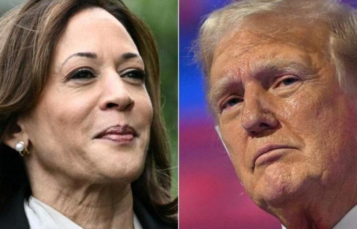 Kamala Harris sta ampliando il divario? Cosa dicono gli ultimi sondaggi?