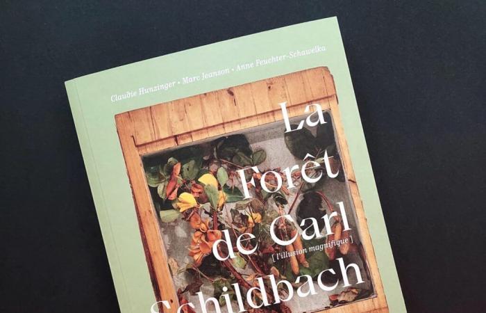 La foresta di Carl Schildbach – Tela Botanica