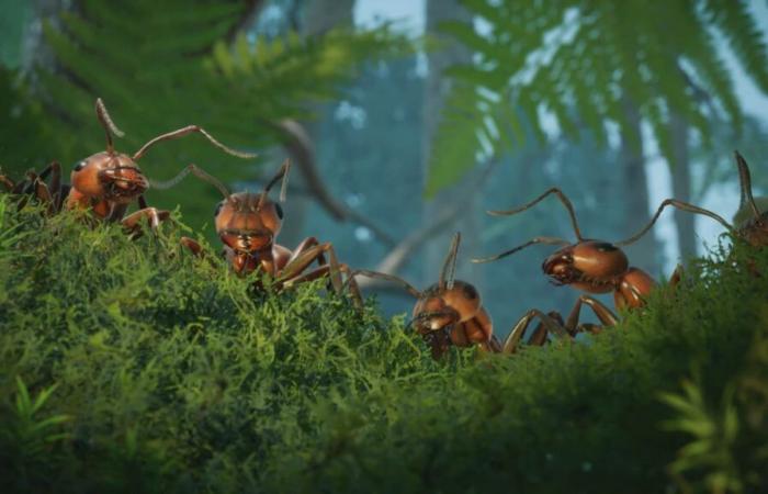 È francese “Les Fourmis”, il primo gioco che accompagnerà la console