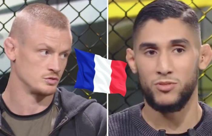 Un francese valuta i soldi sui pessimi stipendi dell’UFC: “Cambiare sport se…