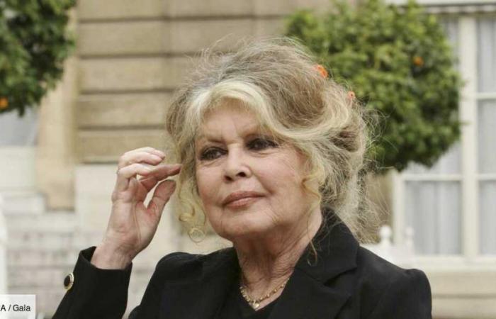 Brigitte Bardot compie 90 anni, i suoi segreti: «Temo il 28 settembre…»