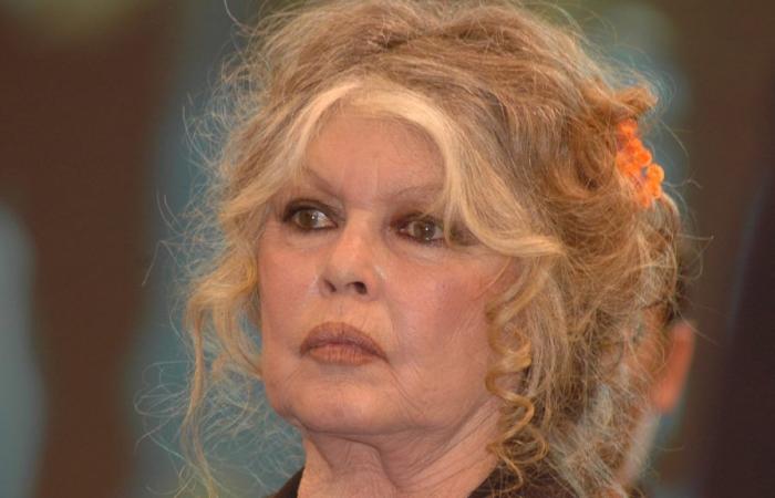 Brigitte Bardot festeggia i suoi 90 anni, un compleanno che “teme”