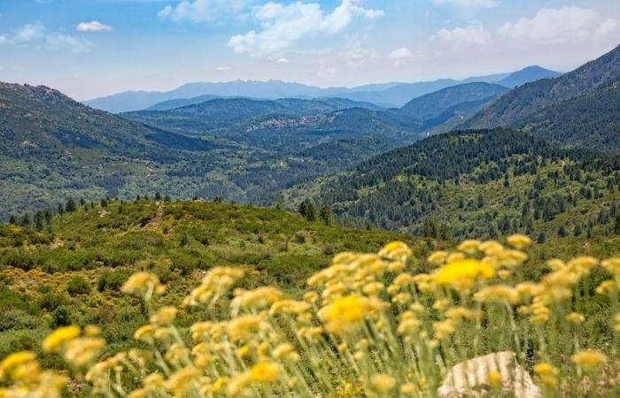 38 foto che dimostrano che la Corsica è l’isola più brutta del mondo