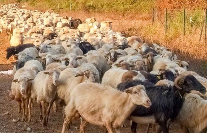 38 foto che dimostrano che la Corsica è l’isola più brutta del mondo