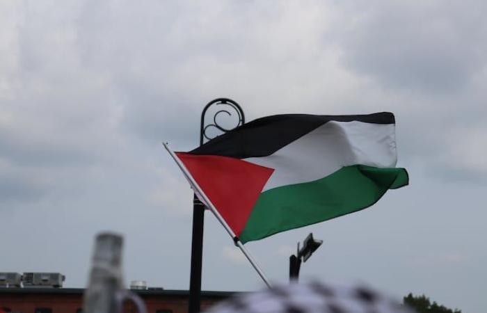 Cinque giorni di mobilitazione per la Palestina in Quebec