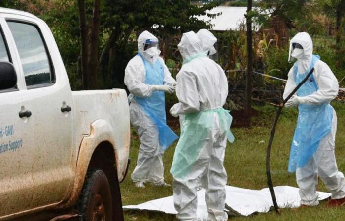 sei morti per virus Marbug