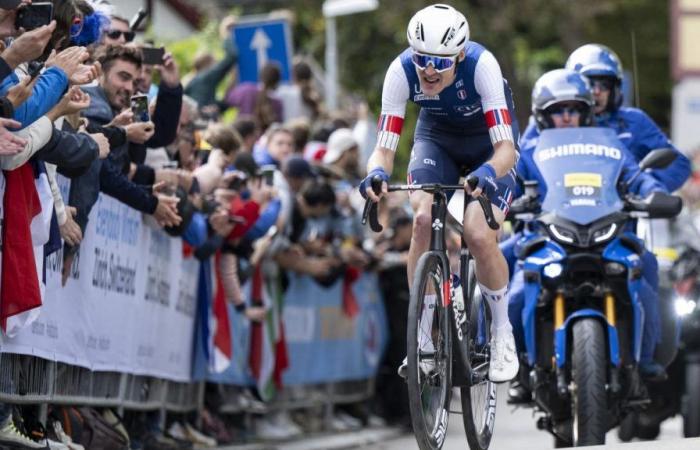 la tegola Alaphilippe, la frustrazione di Bardet, i risultati della squadra francese