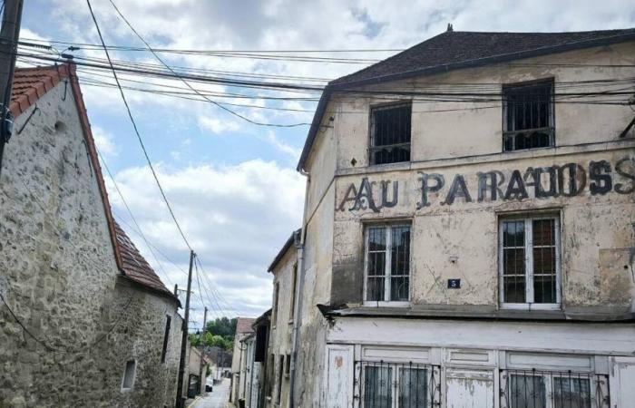 RAPPORTO. Vicino all’aeroporto di Roissy, questo vecchio villaggio “fantasma” sta cercando di tornare in vita