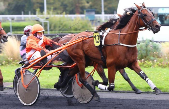 PMU – Arrivo del quinte domenica 29 settembre a Parigi-Vincennes: Ister Man con autorità.