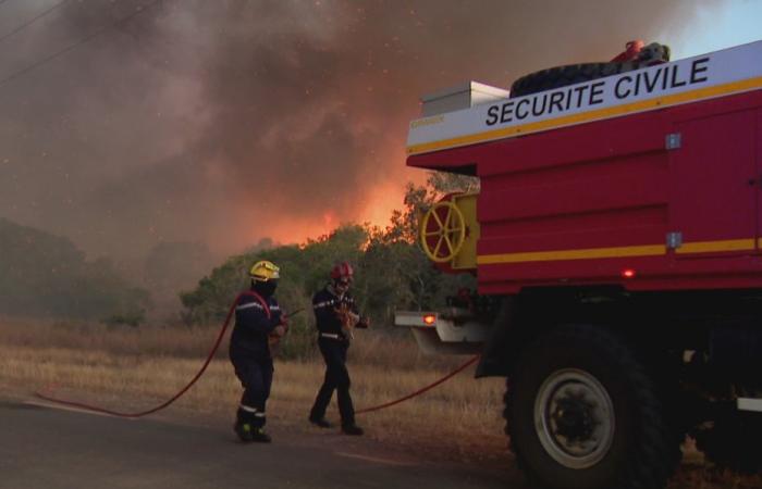 RAPPORTO. Incendi a cascata nel Nord, come nel comune di Poum molto colpito dalla siccità