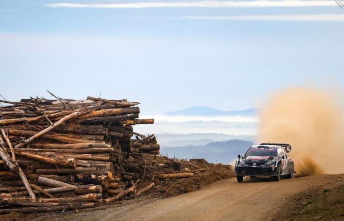 La nebbia sale e Rovanperä prende il controllo di Evans