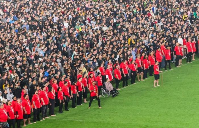 Nuova Zelanda | Un nuovo record mondiale per la più grande haka di massa