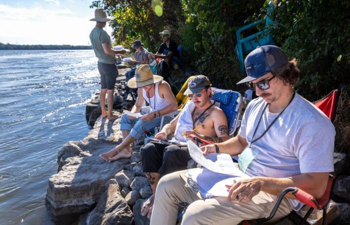 Onda classica al ragazzo | Navigare sotto i riflettori sul fiume