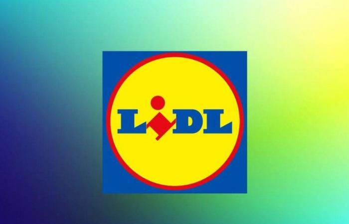 Le ultime offerte di Lidl durante le Giornate Francesi 2024