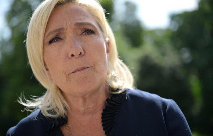 “Marine Le Pen voleva solo evitare traditori o imbecilli”, sostiene Alexandre Varaut