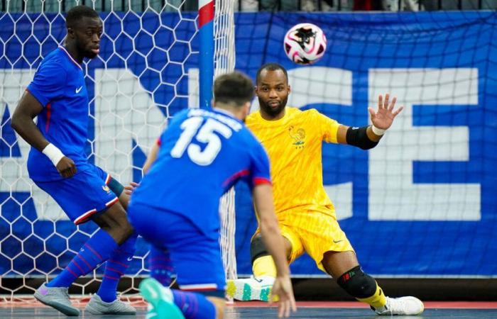 perché i Blues del futsal hanno tutto per sognare il titolo