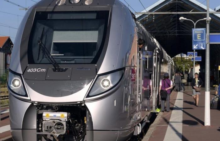 niente più treni nei giorni feriali dalle 8:55 alle 14:45 per due mesi