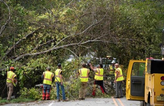 almeno 91 morti, e il bilancio salirà… (foto)