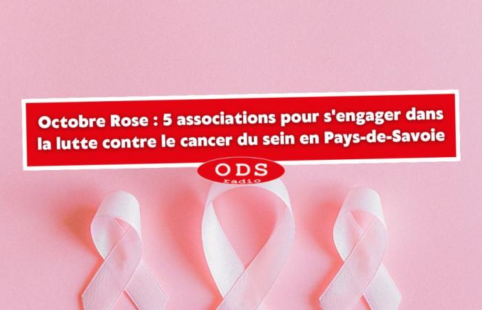 5 associazioni coinvolte nella lotta contro il cancro al seno nel Pays-de-Savoie