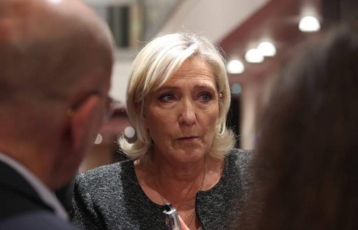 queste le accuse di lavori fittizi che scuotono Marine Le Pen