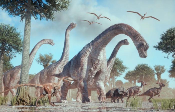 Lo studio sui dinosauri sfida la regola di Bergmann