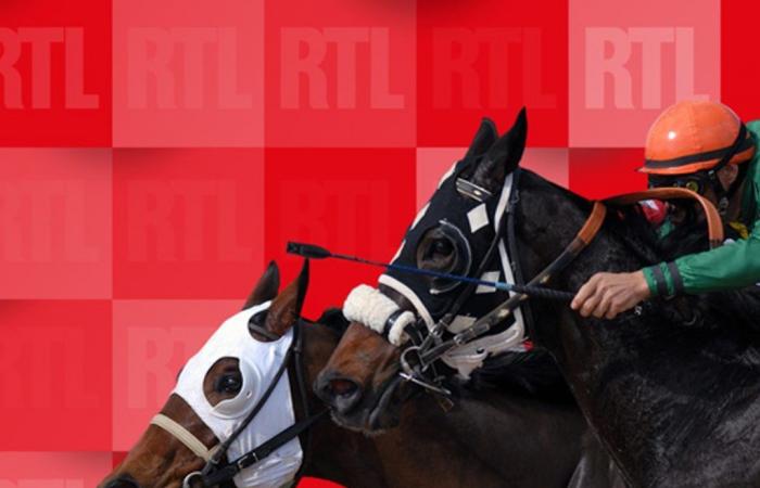 Quinté di martedì 1 ottobre 2024 a Chantilly: i pronostici