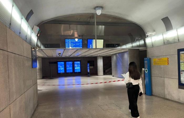 Una donna muore cadendo sui binari alla stazione di Monaco, traffico interrotto e stazione chiusa