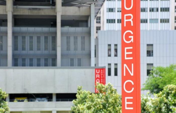 tre studenti di Grenoble ricoverati in ospedale, campagna di vaccinazione a metà ottobre