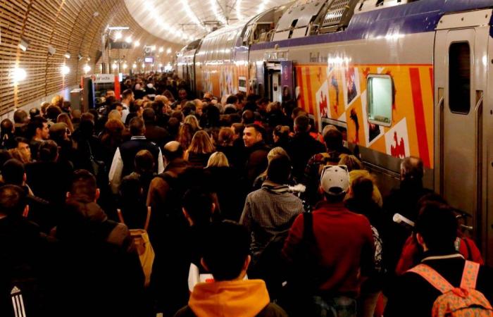 Una donna morta, un’unità psicologica attivata, la stazione sigillata… Aggiornamento sul terribile incidente alla stazione di Monaco