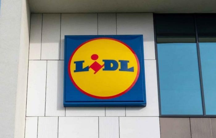 LIDL lancia un richiamo urgente di questo amato ortaggio a causa dei contaminanti chimici