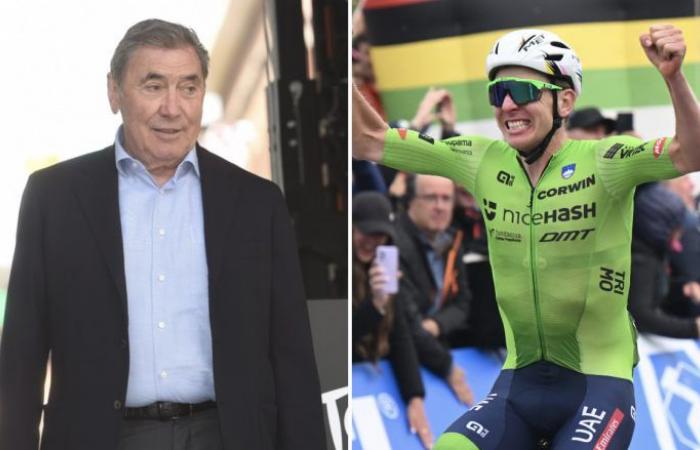 Ciclismo. Strada – Mondiali – Eddy Merckx: “Pogacar? Io non ho attaccato a 100 km”