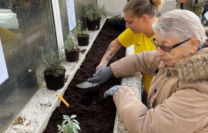 Uno sguardo alla seconda Giornata dei Cittadini