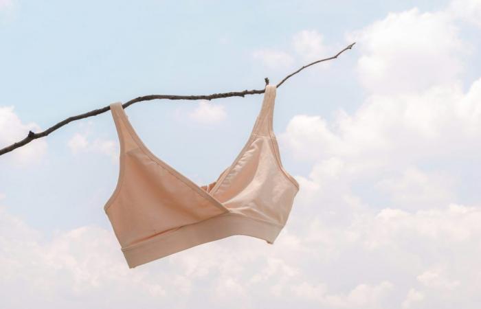 Il reggiseno implicato nel cancro al seno, davvero?