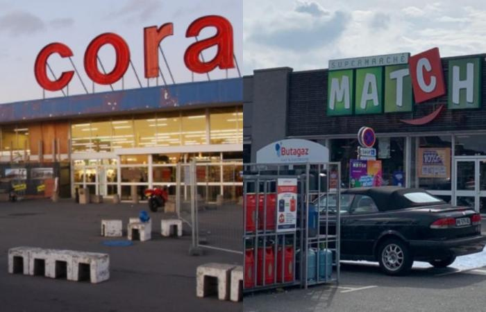 I negozi Cora in Francia passeranno sotto il marchio Carrefour entro la fine di ottobre