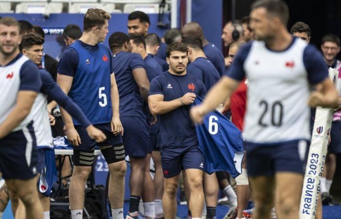 XV di Francia – Un anno dopo, è previsto il ritorno di Antoine Dupont in Azzurro