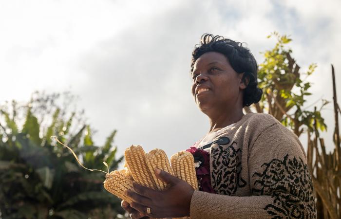 “L’agricoltura industriale è in bancarotta”