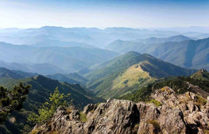 i vigili del fuoco delle Marguerittes correranno ad Aigoual per il Telethon