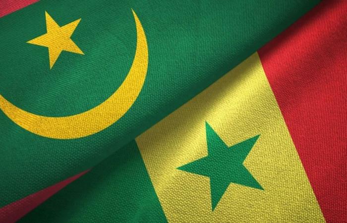 COOPERAZIONE / Serigne Guèye Diop parla delle “grandi sfide di sviluppo” per Senegal e Mauritania