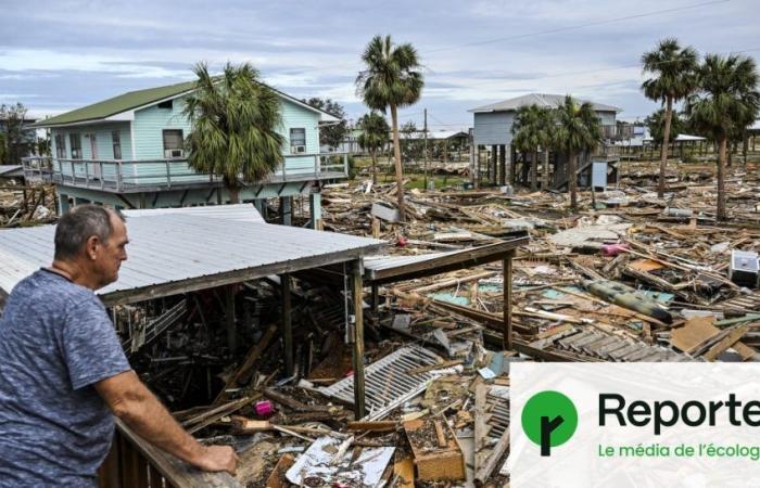 né Trump né Harris fanno il collegamento con il caos climatico